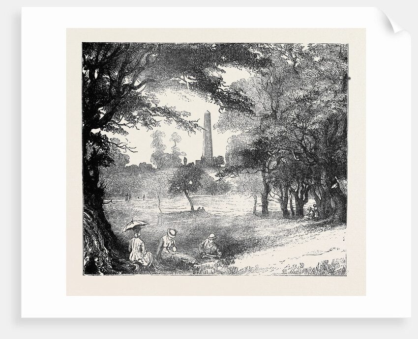 View in Phoenix Park, Dublin, Ireland by Anonymous