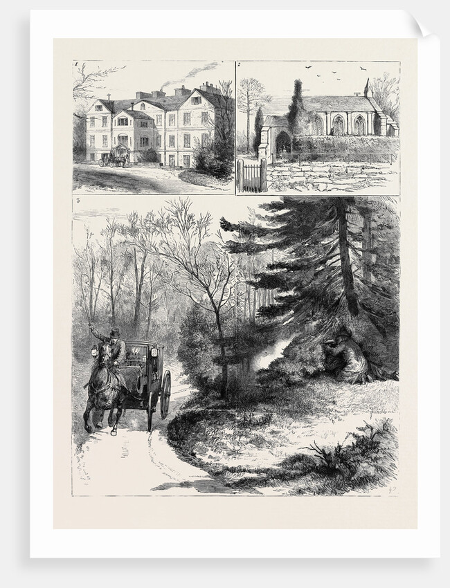 Ireland, the Assassination of Mrs. Henry Smythe by Anonymous