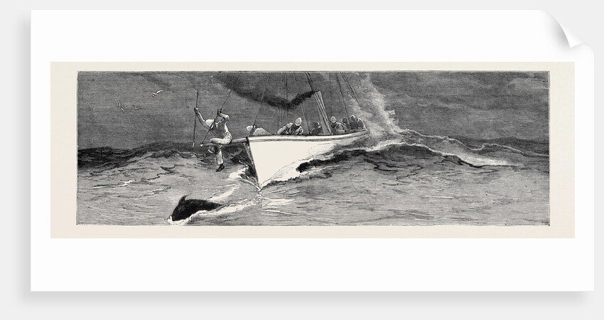 Harpooning a Porpoise, Mauritius by Anonymous