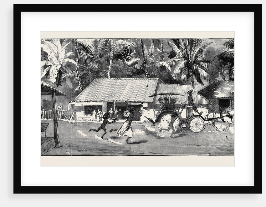 Round the World Yachting in the Ceylon, Ceylon: Our Drive to Wakwallah by Anonymous
