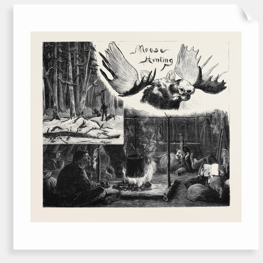 Moose Hunting in Nova Scotia by Anonymous