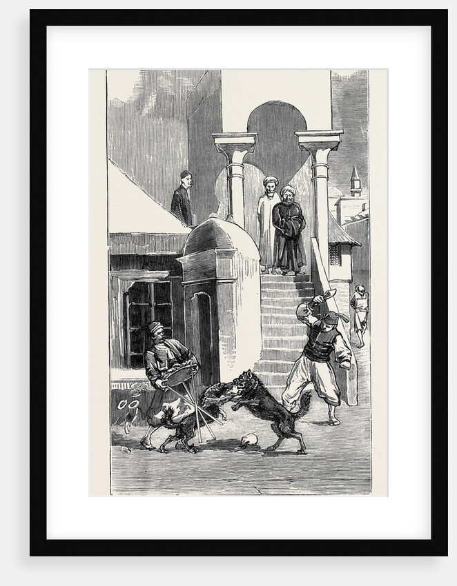 Round the World Yachting in the Ceylon; Smyrna and Ephesus: A Street Encounter by Anonymous