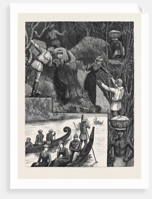 Life in Southern India by Anonymous
