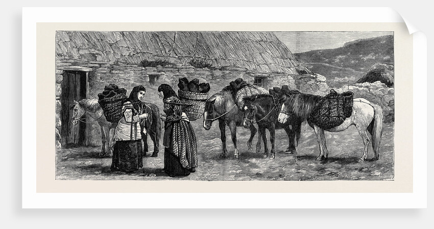 The Duke of Edinburgh in the Shetland Islands: Shetland Ponies by Anonymous