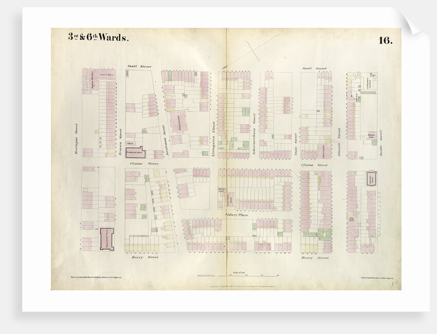 Map bounded by Montague Street, Court Street, Atlantic Street, Henry Street. 1855 by Anonymous