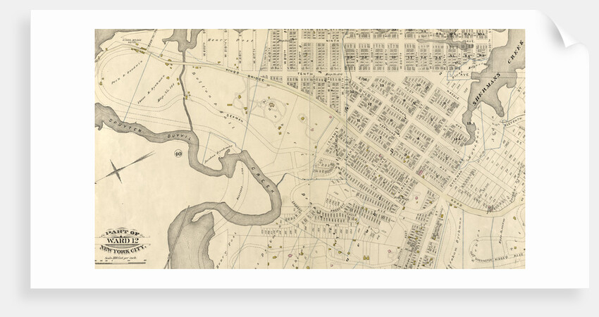 Part of Ward 12, New York City by Anonymous