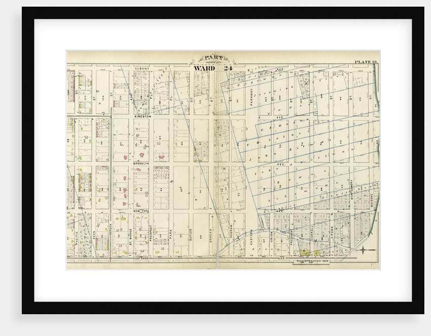 Part of Ward 24. City of Brooklyn, New York by Anonymous