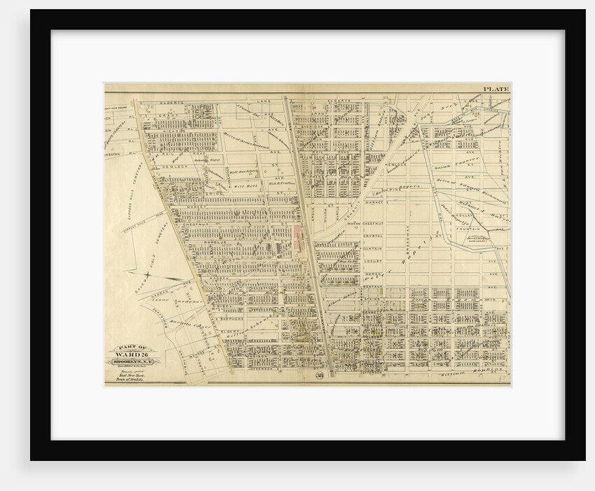 Part of Ward 26. Brooklyn, N.Y by Anonymous