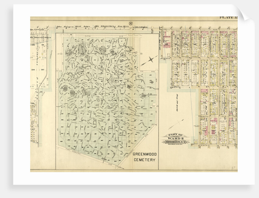 Part of Ward 8. Brooklyn, N.Y by Anonymous