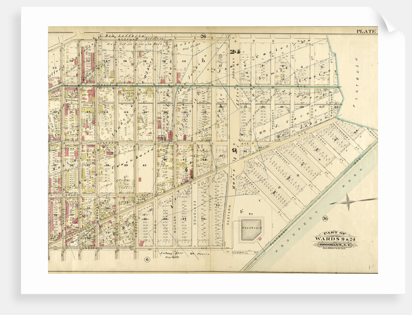 Part of Wards 9 & 24. Brooklyn, N.Y by Anonymous