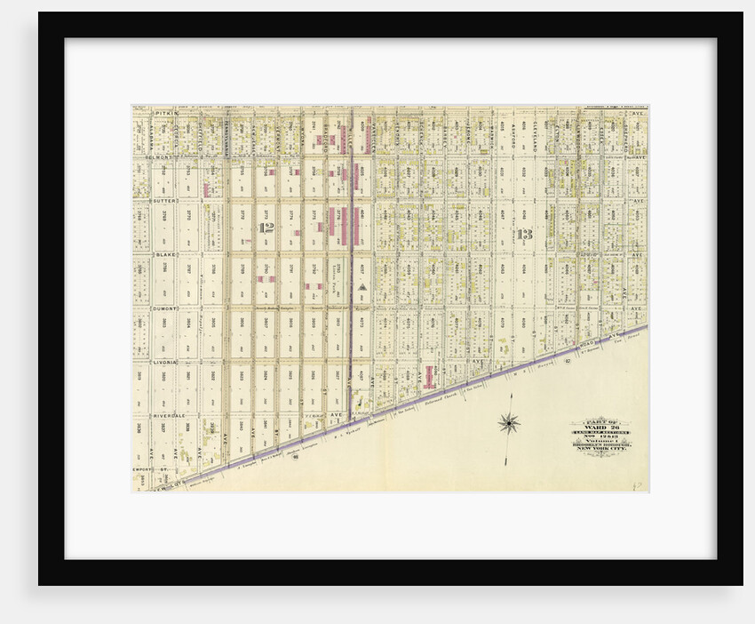 Bounded by Pitkin Avenue, Berriman Street, New Lots Avenue and Williams Avenue, New York by Anonymous