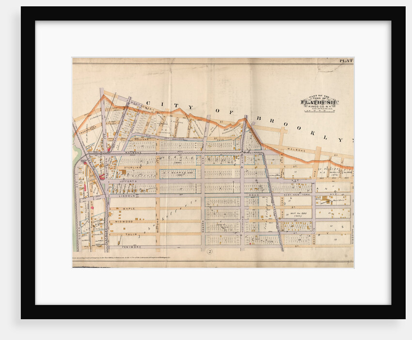 Bounded by Montgomery Street, New York Avenue, Malbone Street, Kingston Avenue, Fenimore Street, Ocean Avenue and Flatbush Avenue, New York by Anonymous