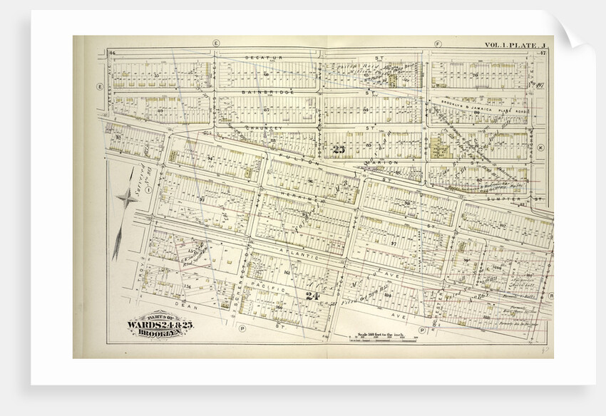 Map bound by Decatur St., Patchen Ave., Buffalo Ave., Pacific Ave., Dean St., Troy Ave., Yates Ave; Including Bainbridge St., Chauncey, Marion St., Sumpter St., Fulton St., Herkimer St., Atlantic Ave., Pacific Ave., Lewis Ave., Schene., New York by Anonymous