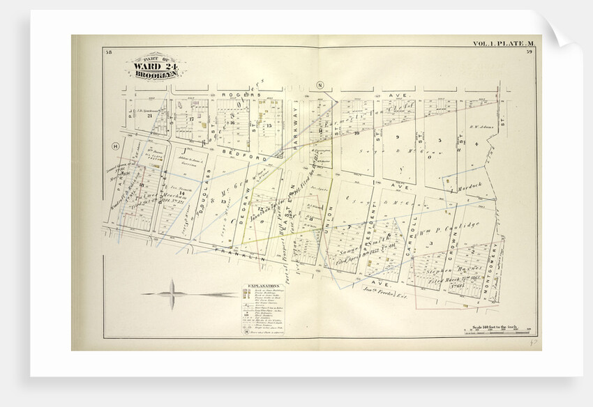 Map bound by Roges Ave., City Line, Franklin Ave., Park PL; Including Bedford Ave., Butler St., Douglass St., Degraw St., Eastern Parkway, Union St., President St., Carroll St., Crown St., Montgomery St., New York by Anonymous