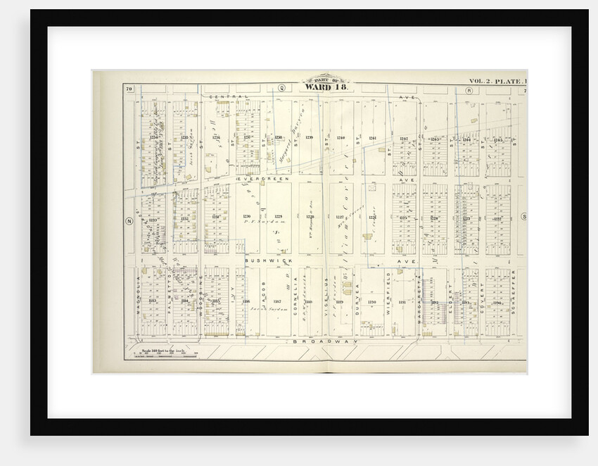 Map bound by Central Ave., Schaeffer St., Broadway, Magnolia St; Including Evergreen Ave., Bushwick Ave., Palmetto St., Woodbine St., Ivy St by Anonymous