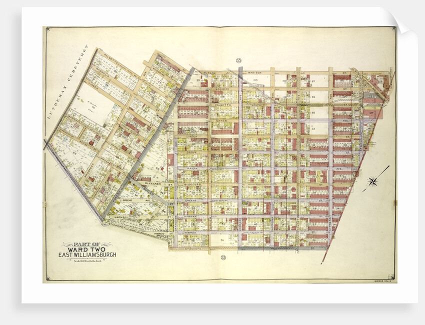 Map bounded by Palmetto St., Prospect Ave., Ivy St., Forest Ave., Ptnan Ave., Woodard Ave., Madison St., Myrtle Ave., New York by Anonymous