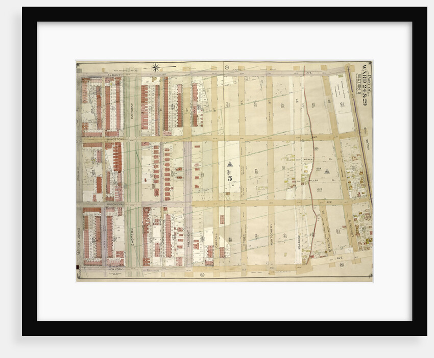 Map bounded by Albany Ave., East New York Ave. Old Earl St; IncludingNew York Ave., St. Johns PL. Douglass St., New York by Anonymous