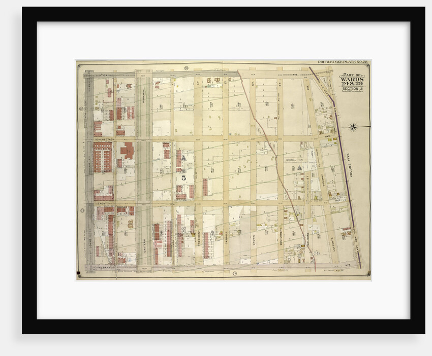Map bounded by Utica Ave., East New York Ave. Earl St; IncludingAlbany Ave., St. Johns PL. Douglass St., New York by Anonymous