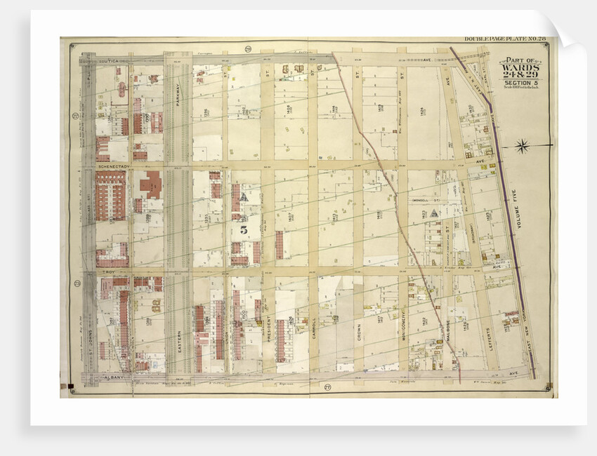 Map bounded by Utica Ave., East New York Ave. Earl St; IncludingAlbany Ave., St. Johns PL. Douglass St., New York by Anonymous