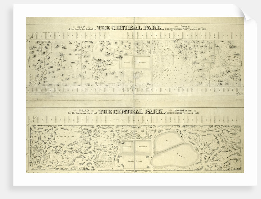 Map of the lands included in the Central Park, from a topographical survey, June 17th, 1856; Also: Plan for the improvement of the Central Park, adopted by the Commissioners, June 3rd, 1856, New York by Anonymous