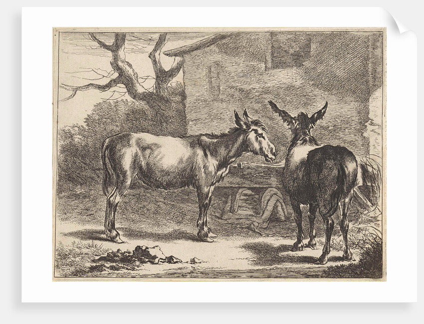 Two donkeys in a manger by Nicolaes Pietersz. Berchem