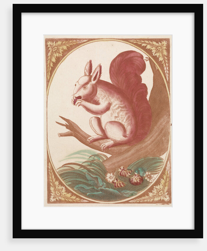 Squirrel on a tree branch by Johan Teyler