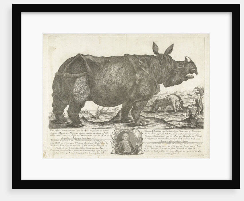 The rhinocerus Clara, 1741 by Johann Georg Schmidt