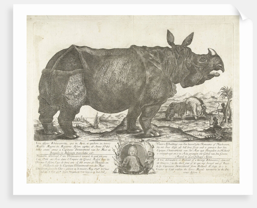 The rhinocerus Clara, 1741 by Johann Georg Schmidt