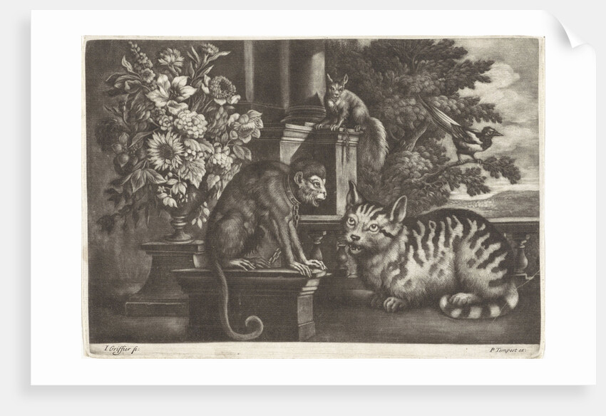 Monkey, cat, squirrel and magpie by Pierce Tempest