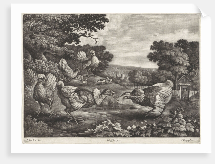 Fighting chickens by Pierce Tempest