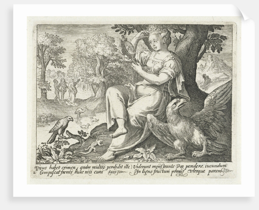 Sight by Nicolaes de Bruyn