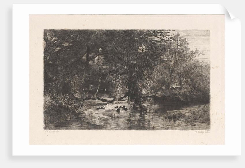 Trees along the water by Willem Steelink I