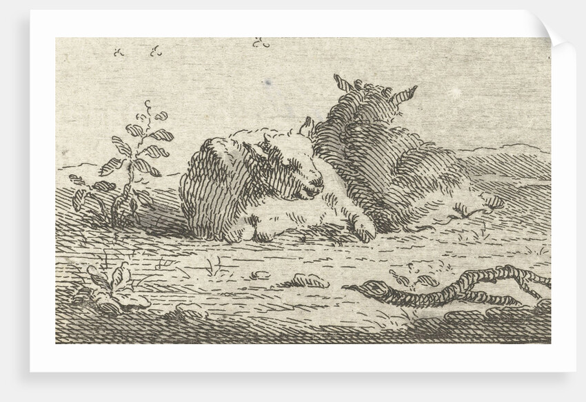 Two reclining sheep by Jan van der Meer II