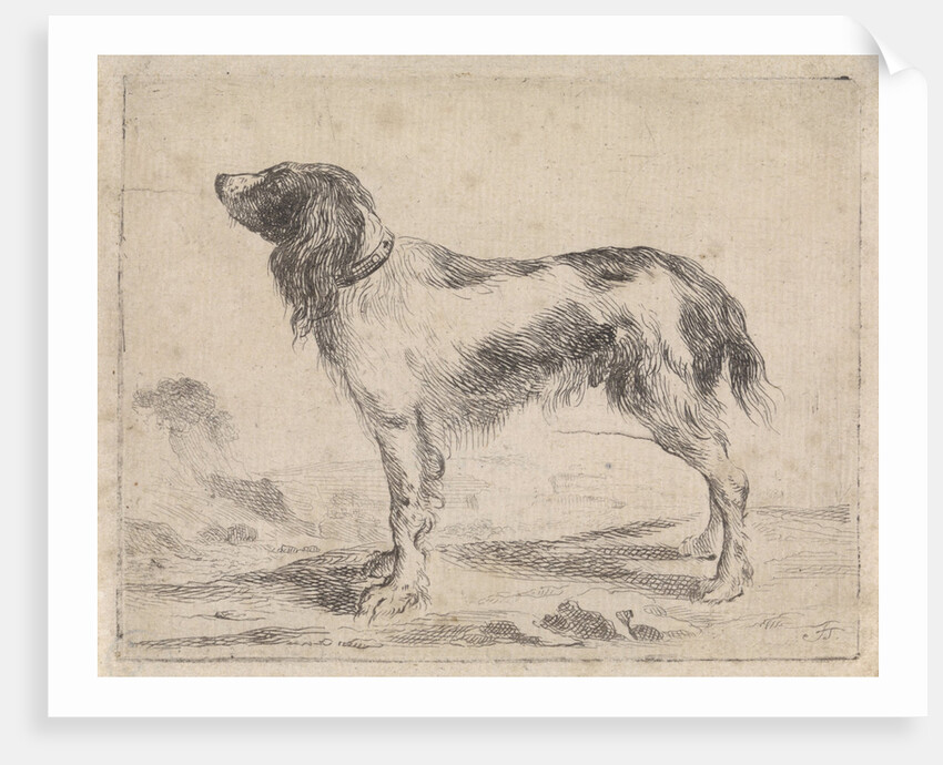 Standing dog by Jacob Toorenvliet