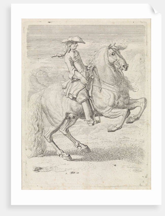 Rider lets his horse rearing by Dirk Maas