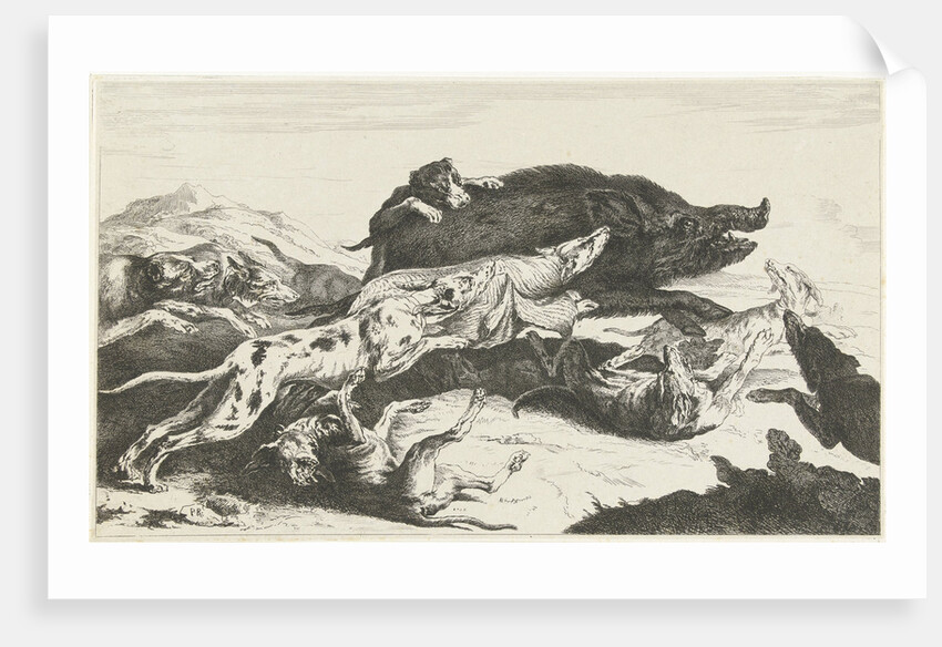 Dogs hunt a boar by Peeter Boel