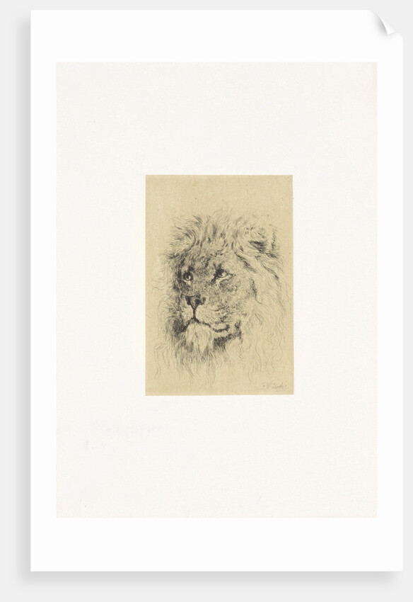 Head of a lion by Frederick Willem Zurcher
