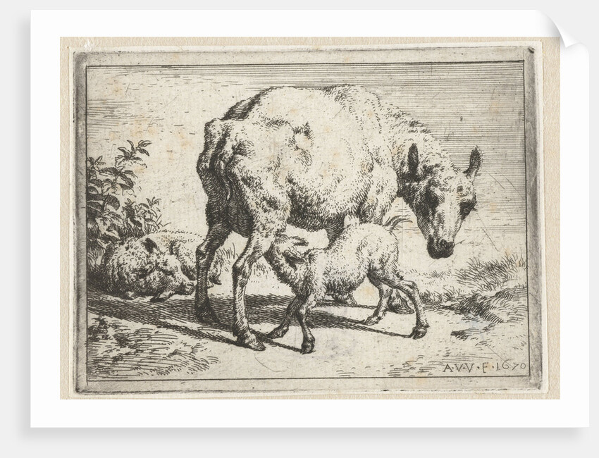 Ewe with two lambs by Adriaen van de Velde