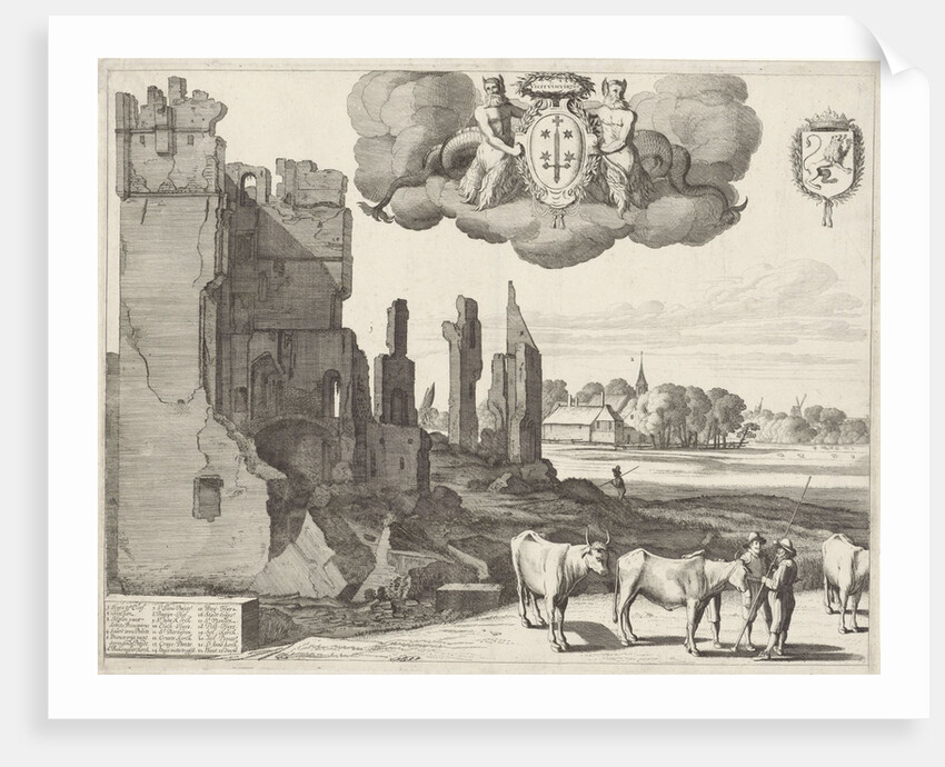 View of Haarlem, The Netherlands by Reinier & Josua Ottens