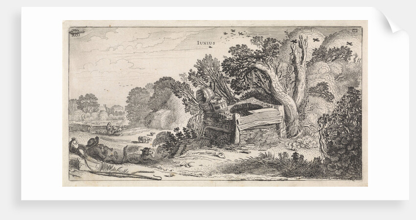 June by Jan van de Velde II