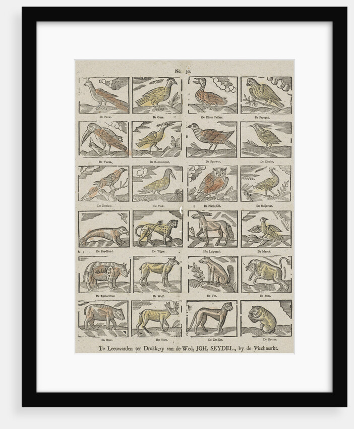 Animals, Germany by Anonymous