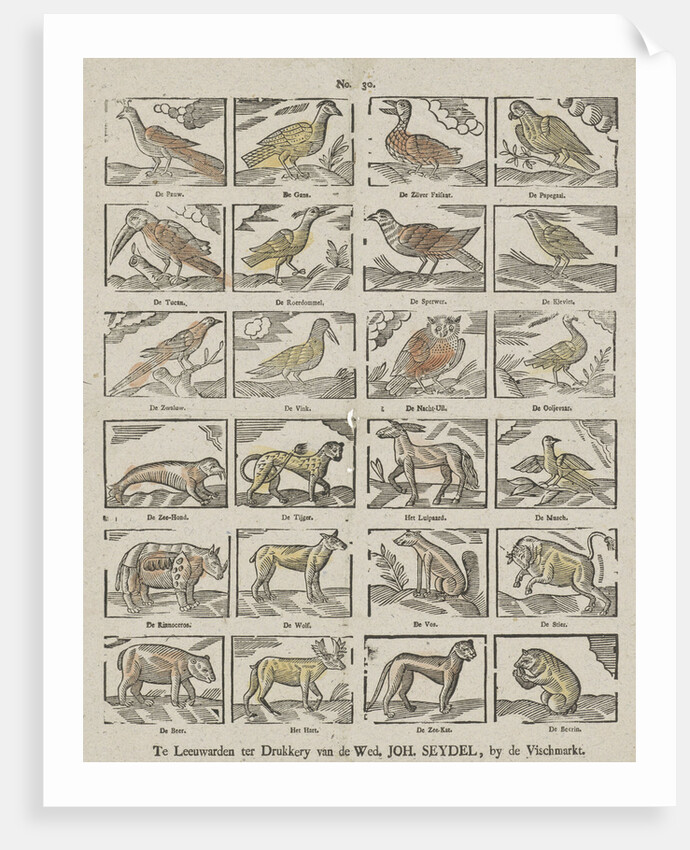 Animals, Germany by Anonymous