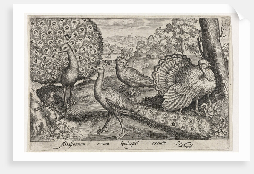Two Peacocks and turkey, Germany by Nicolaes de Bruyn