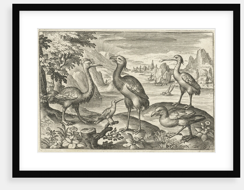 Five birds including spoonbill by Nicolaes de Bruyn
