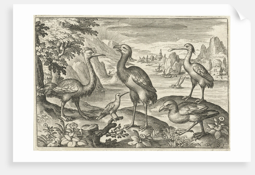 Five birds including spoonbill by Nicolaes de Bruyn