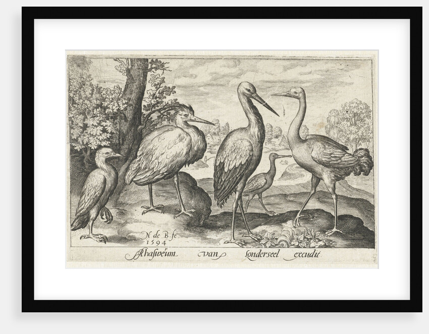 Stork, crane, heron and spoonbill by Nicolaes de Bruyn