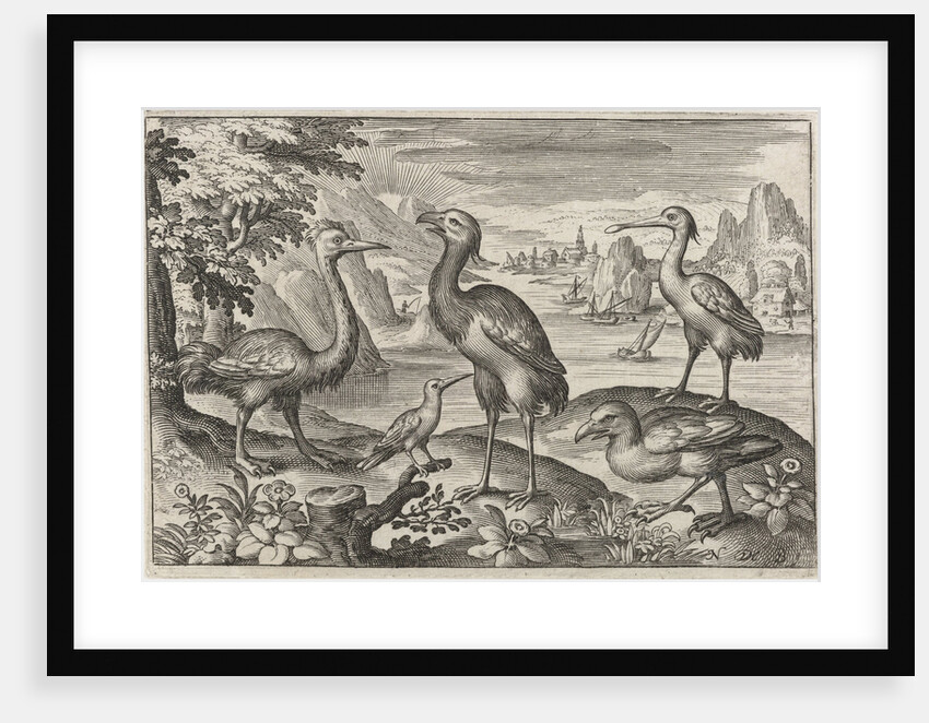 Crowned Crane between two ostriches by Nicolaes de Bruyn