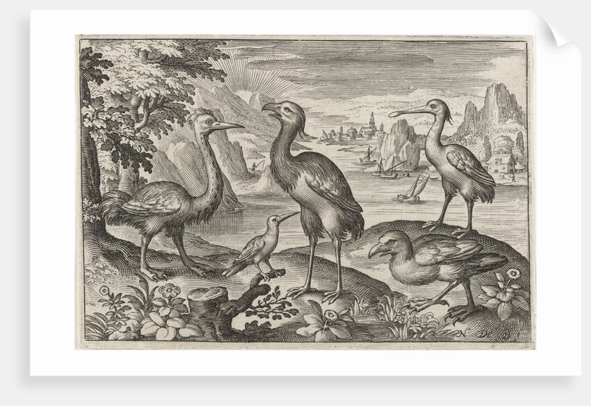Crowned Crane between two ostriches by Nicolaes de Bruyn