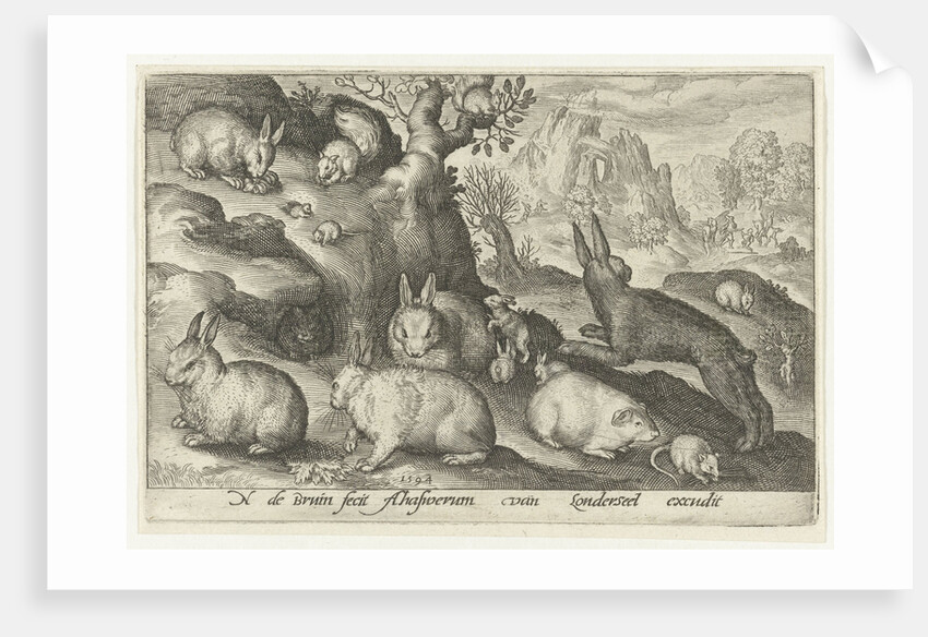 rabbits, squirrel, guinea pig and mouse by Nicolaes de Bruyn
