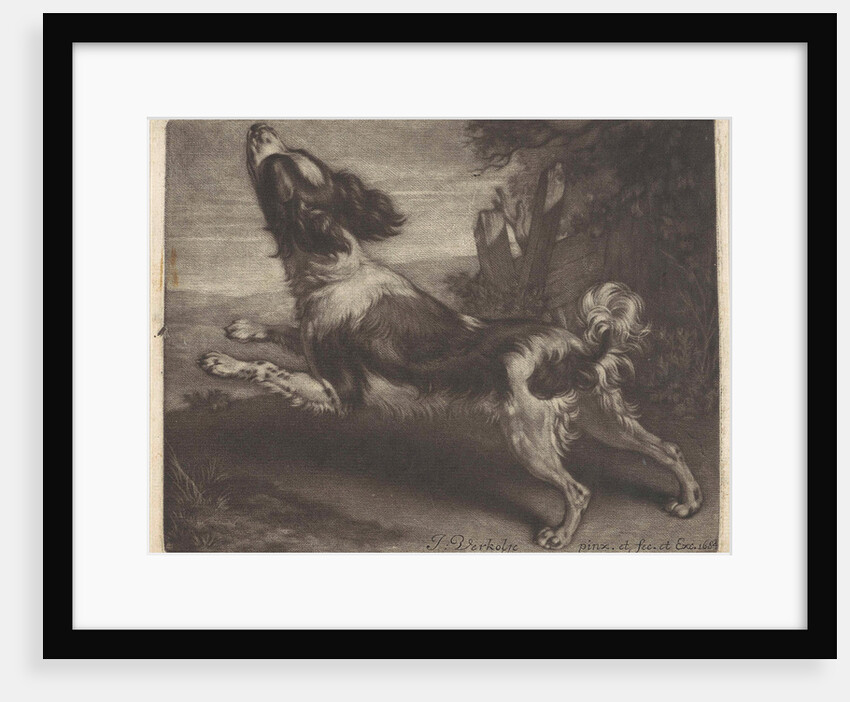 Racing dog, possibly a spaniel by Jan Verkolje I